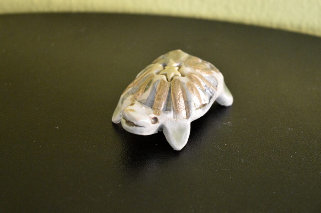 05 Mini Schildkrote